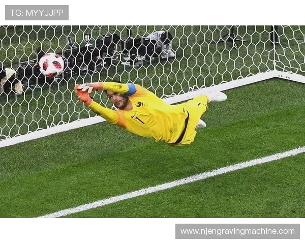 法国队首次夺冠背后的故事与球队建设 法国队首次夺冠背后的故事与球队建设